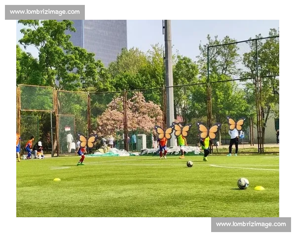 草地球场上的精彩对决与运动激情完美融合探索